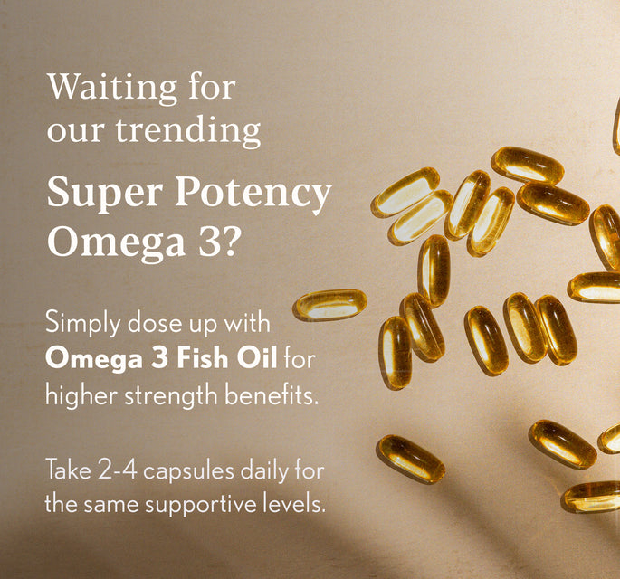 Higher Nature Fish Oil Omega 3 1000mg 90 Capsules