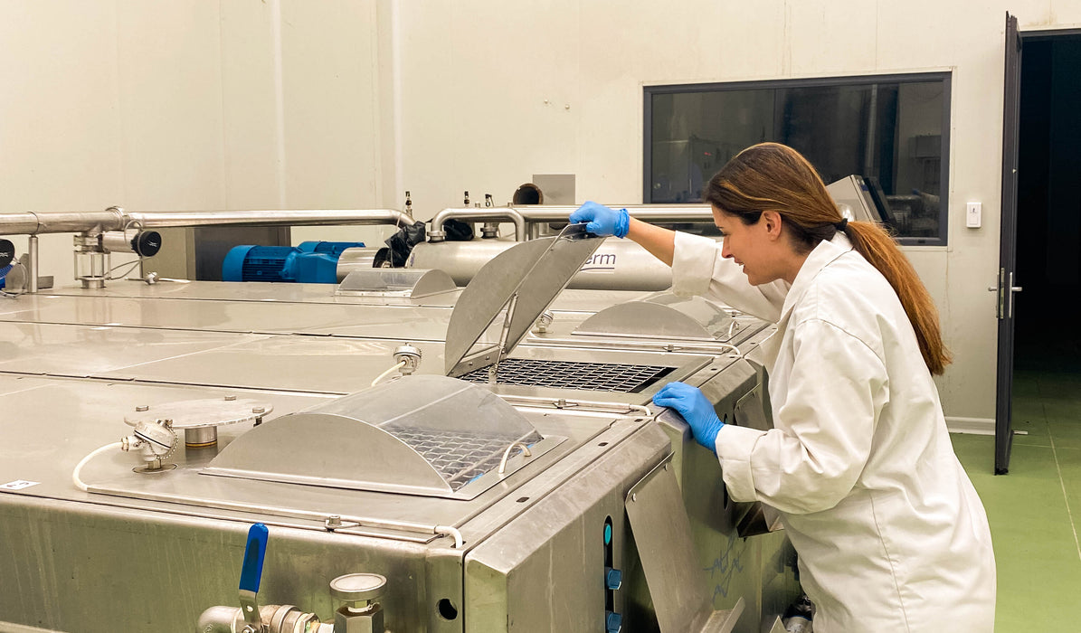 Citizens of Soil Greek Organic Extra Virgin Olive Oil 500ml