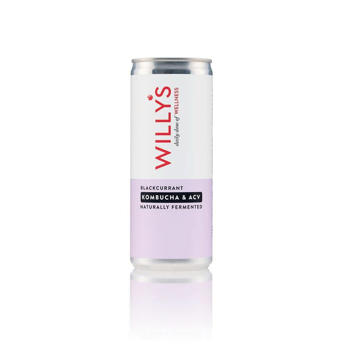 Willys Blackcurrant Kombucha & ACV 250ml