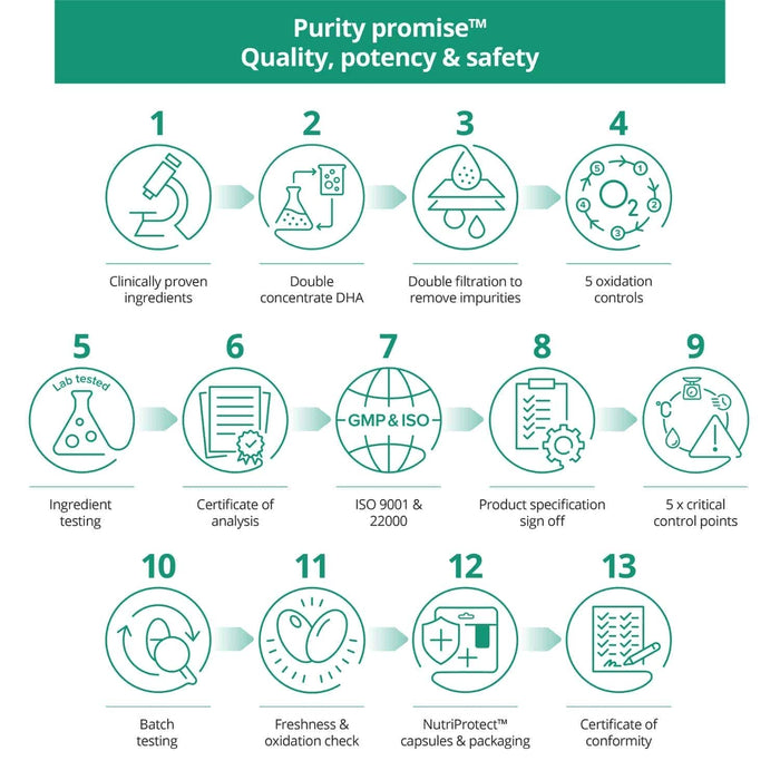 Brain Feed Plant-based Omega 3 DHA 500mg 60 Capsules