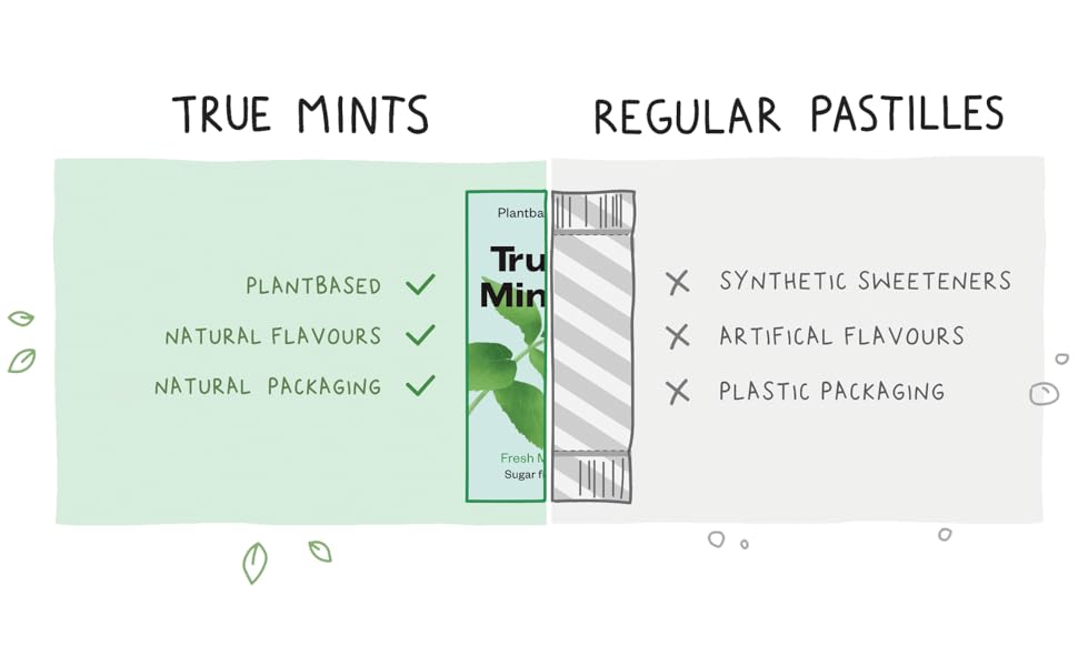 True Gum Mints Fresh Mint 13g