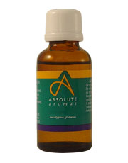 Absolute Aromas Eucalyptus Globulus Oil 30ml