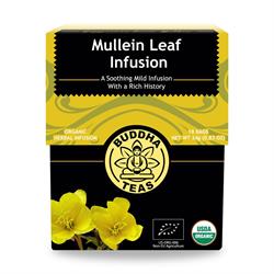 Organic Mullein Leaf Infusion
