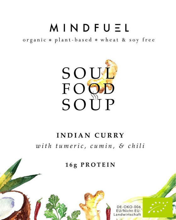 MindFuel Whole Food Soup Indian curry 1 servings