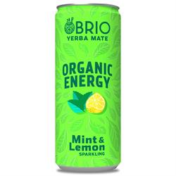 Brio Mate Organic Energy Mint & Lemon 250ml