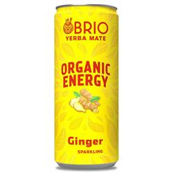 Brio Mate Organic Energy Ginger 250ml