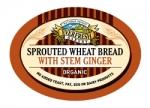 Everfresh Natural Foods Org Sprout Stem Ginger Bread 400g