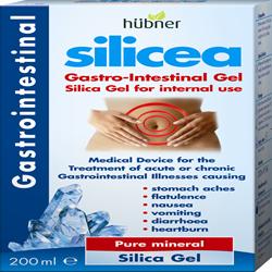 Hubner Silicea Gastrointestinal Gel 200ml - QuickVit