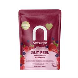 Naturya Gut Feel Mixed Berry 240g