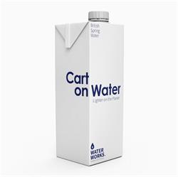 Water Works Carton Water Still 1L