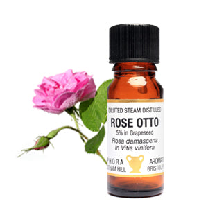 Amphora Aromatics Rose Otto Diluted Steam Distilled 5% 10ml